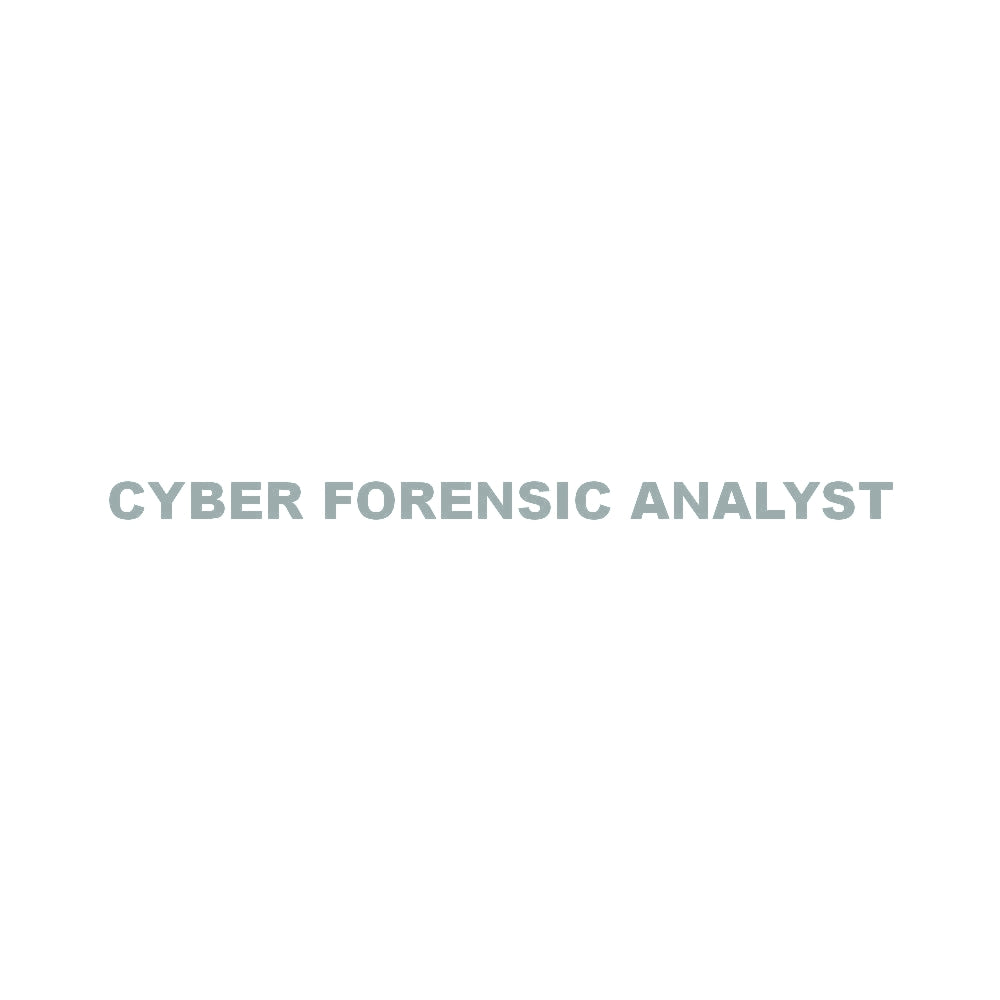 CYBER FORENSIC ANALYST 10