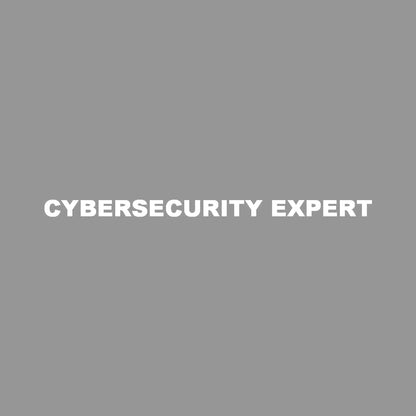 CYBERSECURITY EXPERT 7
