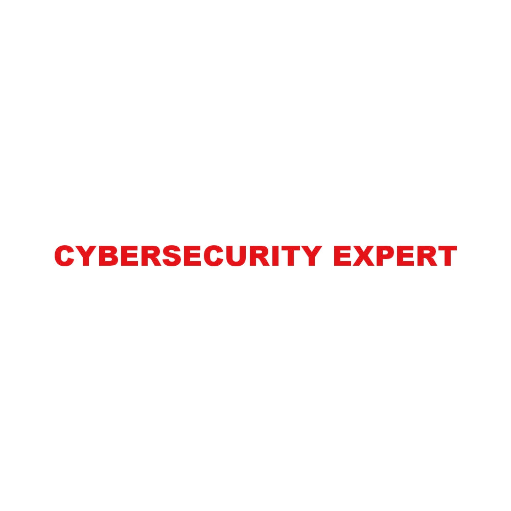 CYBERSECURITY EXPERT 8