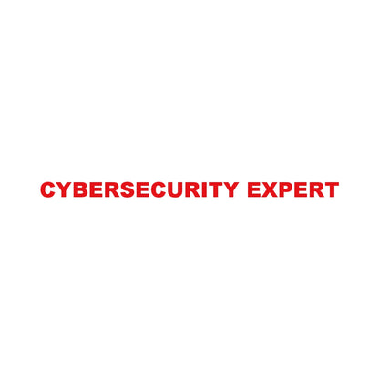 CYBERSECURITY EXPERT 8
