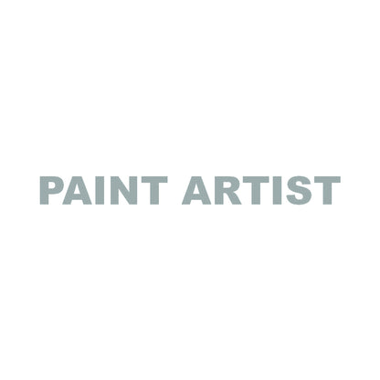 PAINT ARTIST 10