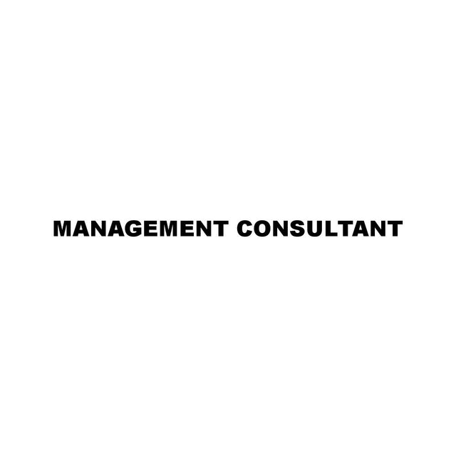 MANAGEMENT CONSULTANT