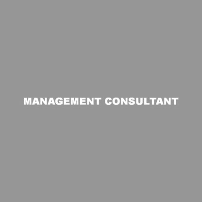 MANAGEMENT CONSULTANT 7