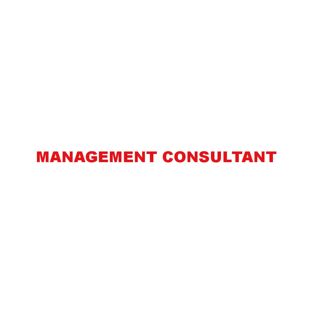 MANAGEMENT CONSULTANT 8