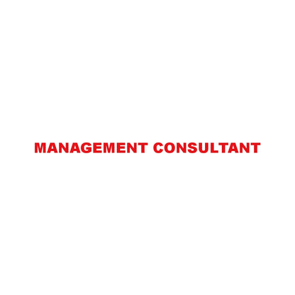 MANAGEMENT CONSULTANT 8