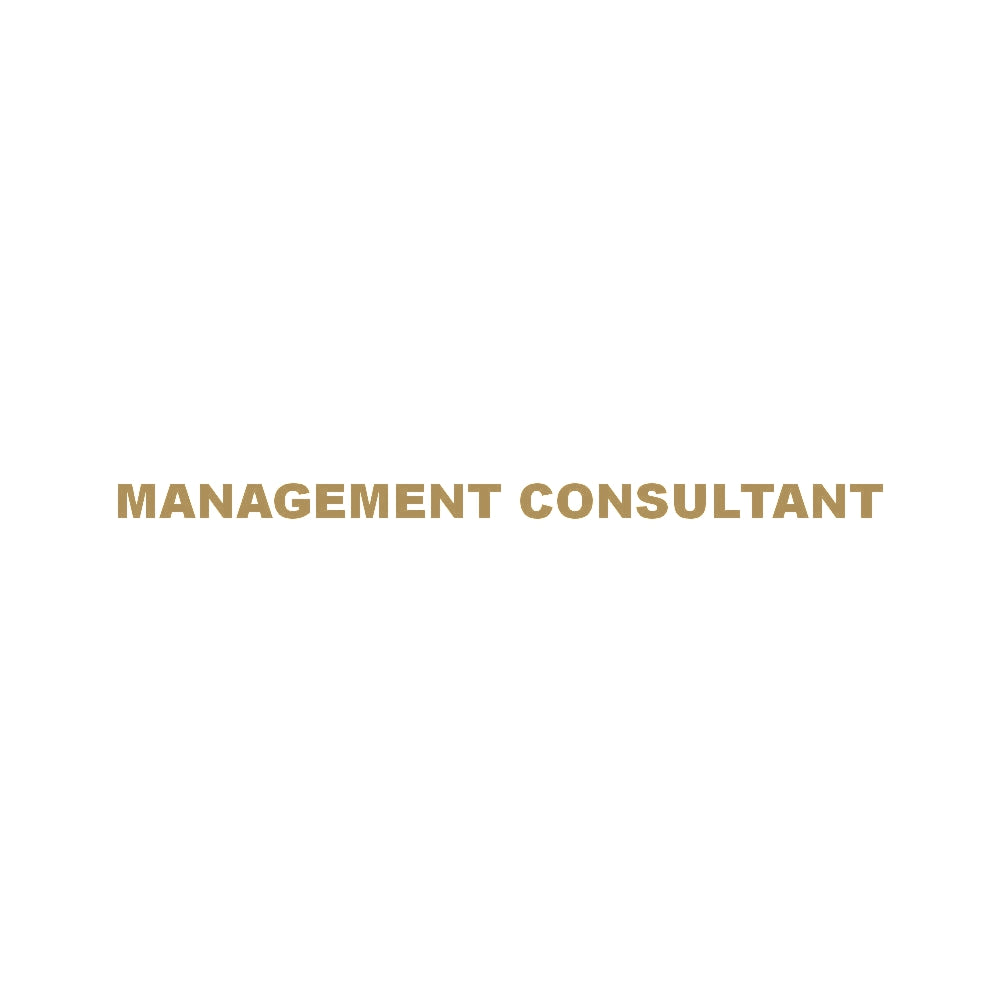 MANAGEMENT CONSULTANT 9