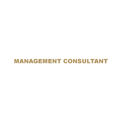 MANAGEMENT CONSULTANT 9
