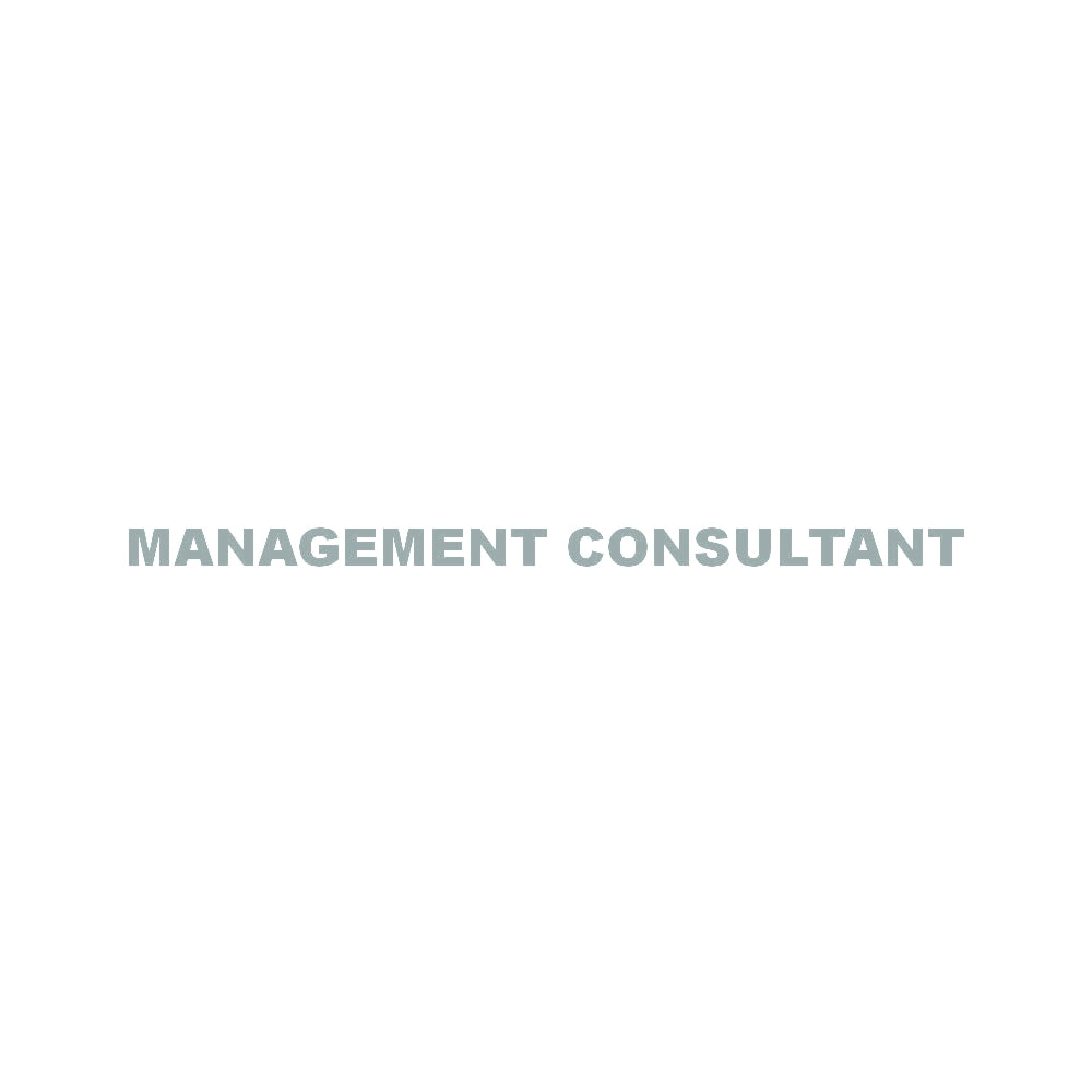MANAGEMENT CONSULTANT 10