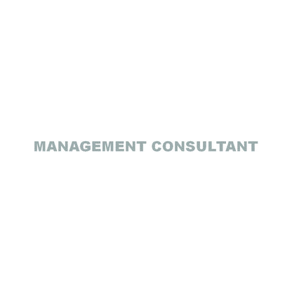 MANAGEMENT CONSULTANT 10