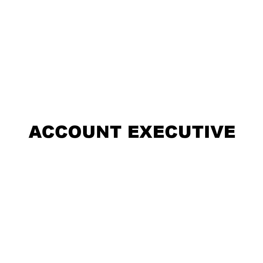 ACCOUNT EXECUTIVE