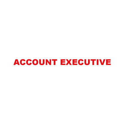 ACCOUNT EXECUTIVE 8