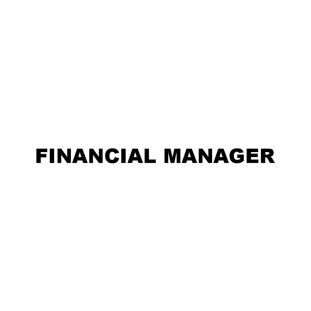 FINANCIAL MANAGER