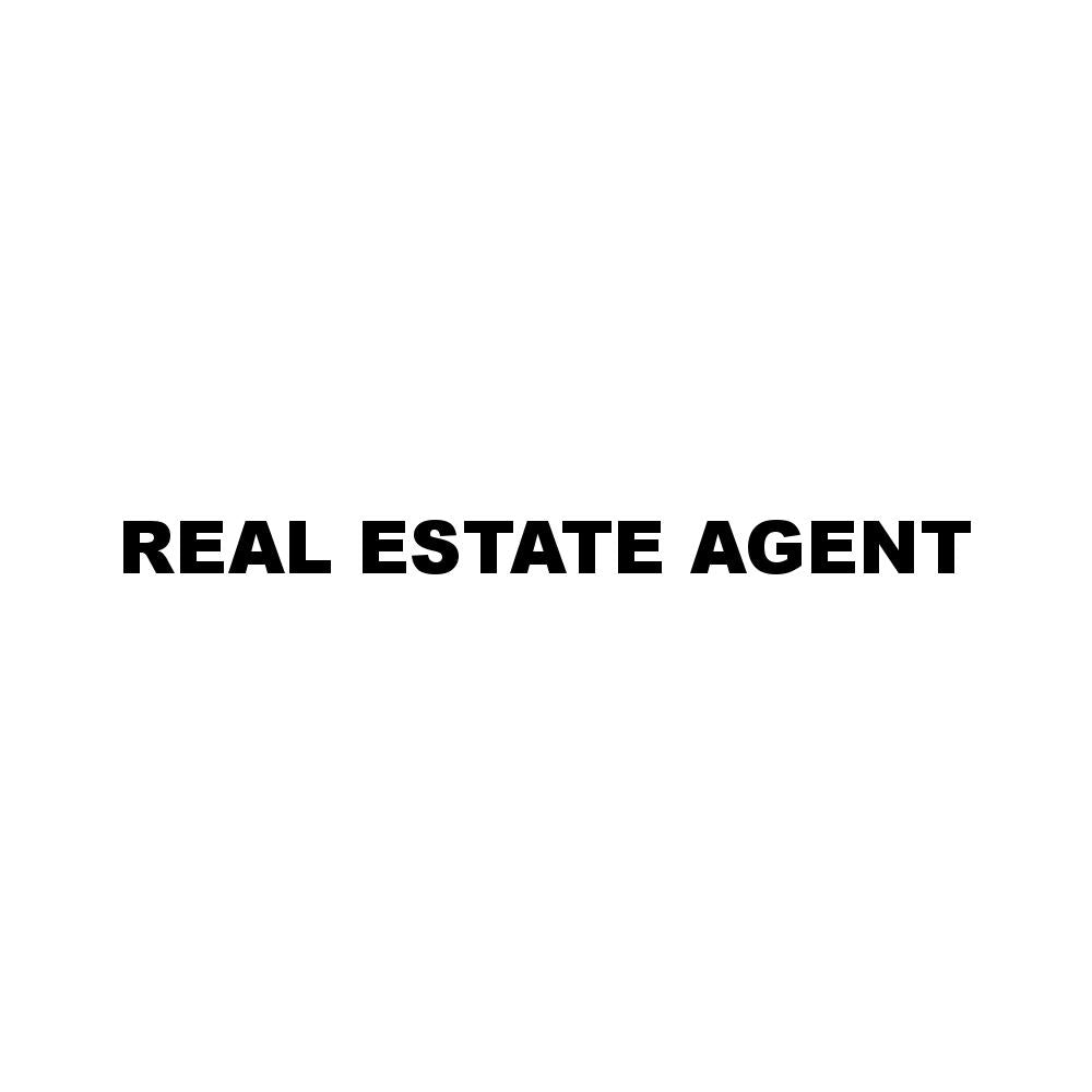 REAL ESTATE AGENT