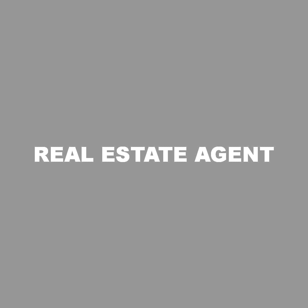 REAL ESTATE AGENT 7