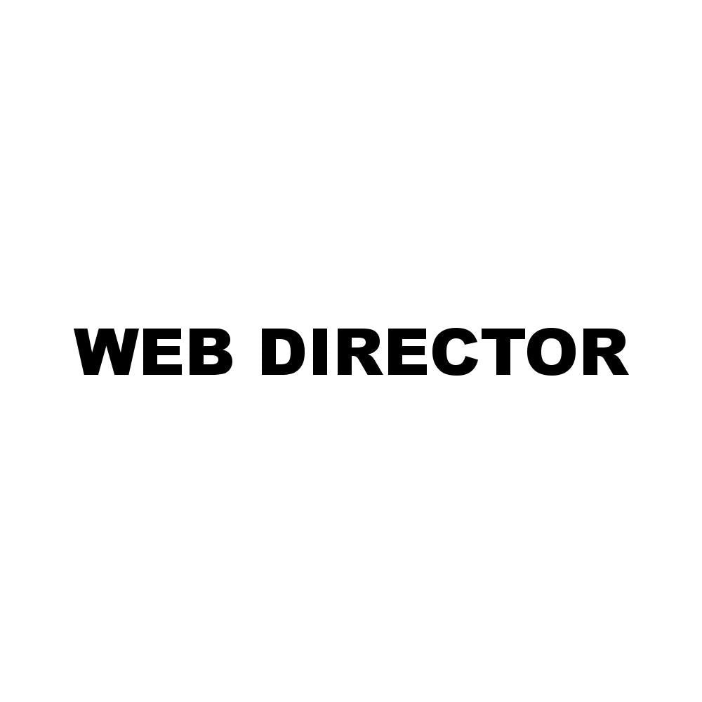 WEB DIRECTOR