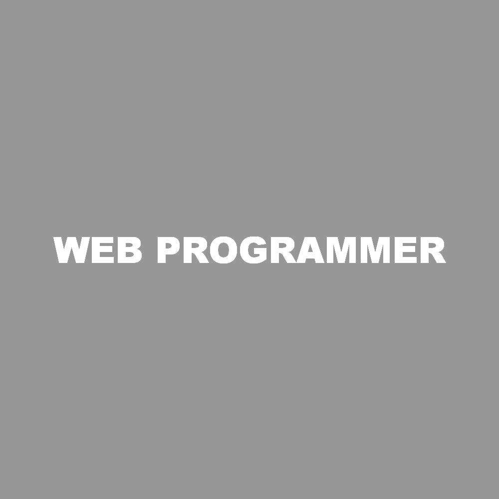 WEB PROGRAMMER 7