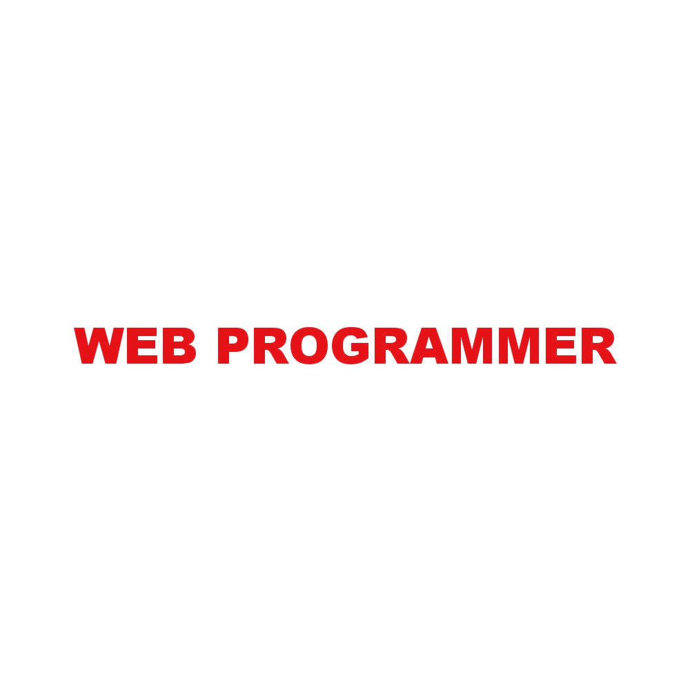 WEB PROGRAMMER 8