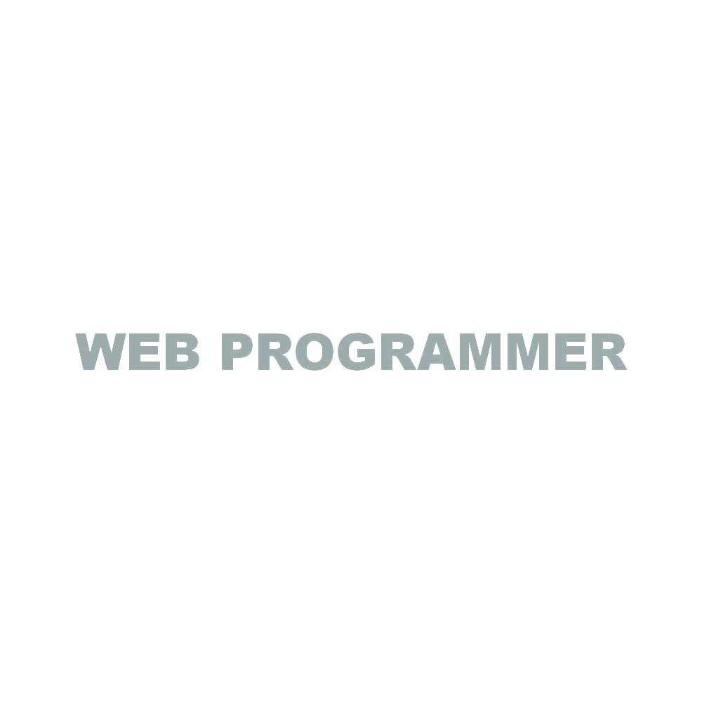 WEB PROGRAMMER 10