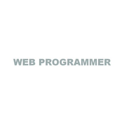 WEB PROGRAMMER 10