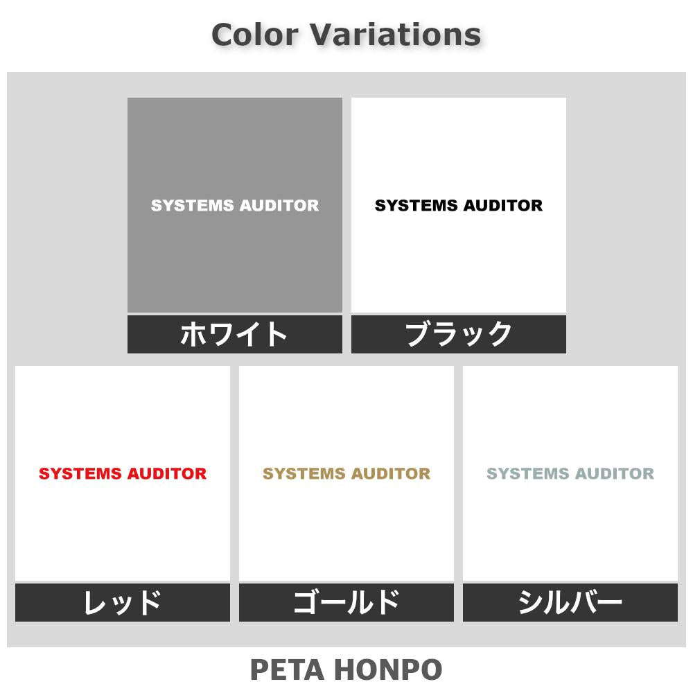 SYSTEMS AUDITOR 2