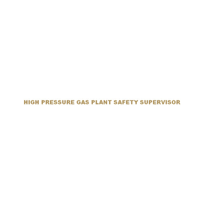 HIGH PRESSURE GAS PLANT SAFETY SUPERVISOR 9