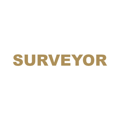 SURVEYOR 9