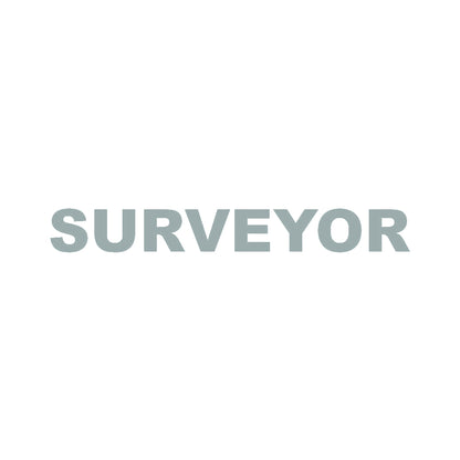 SURVEYOR 10