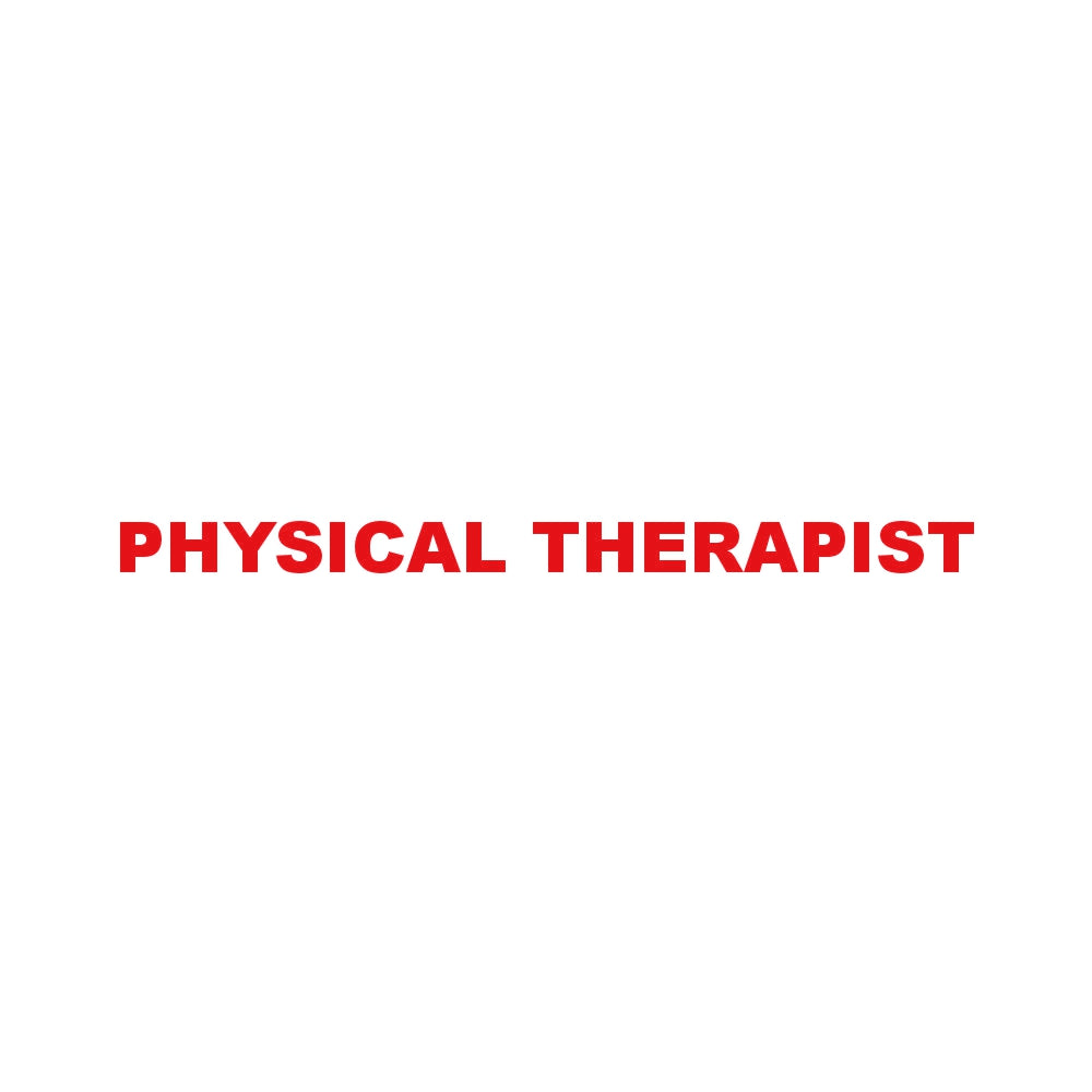 PHYSICAL THERAPIST 8