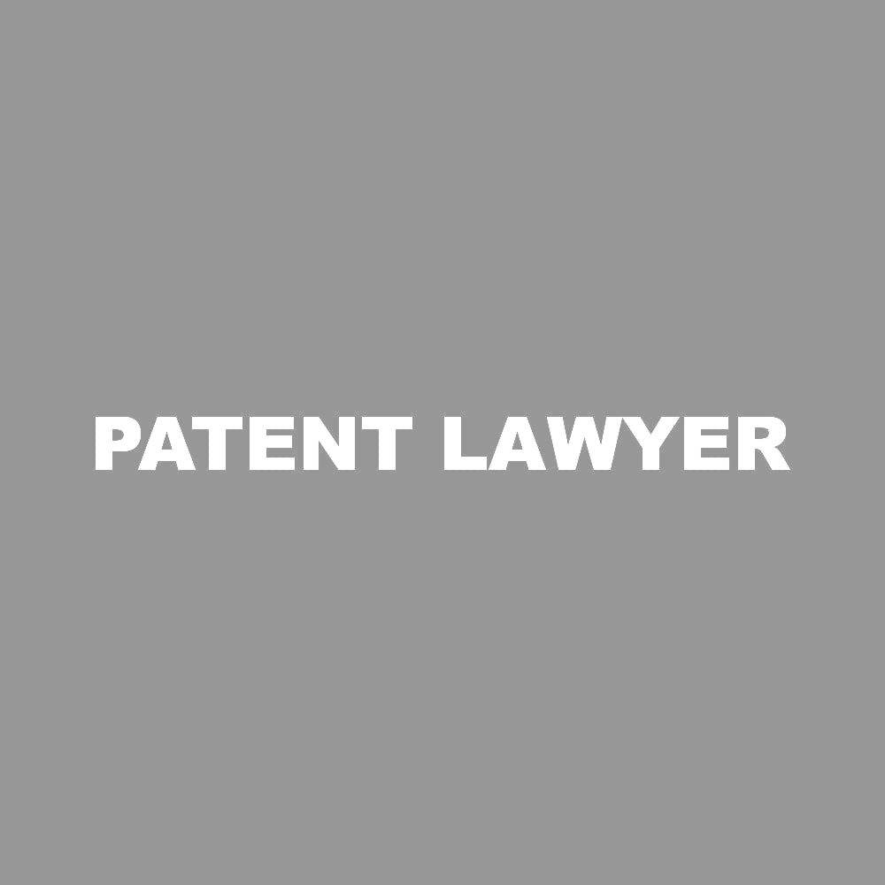 PATENT LAWYER 7