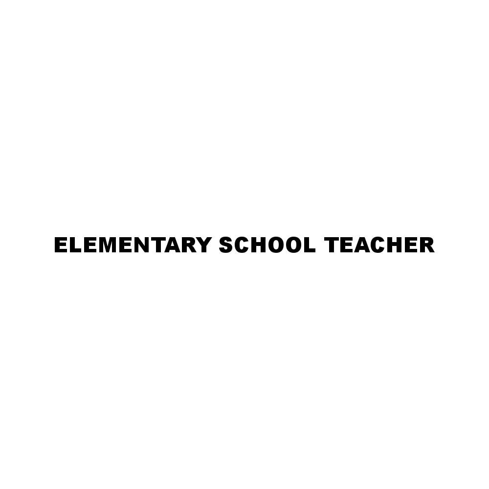 ELEMENTARY SCHOOL TEACHER