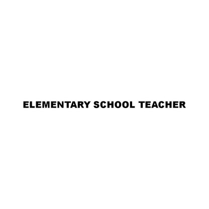 ELEMENTARY SCHOOL TEACHER