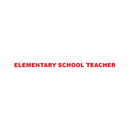ELEMENTARY SCHOOL TEACHER 8