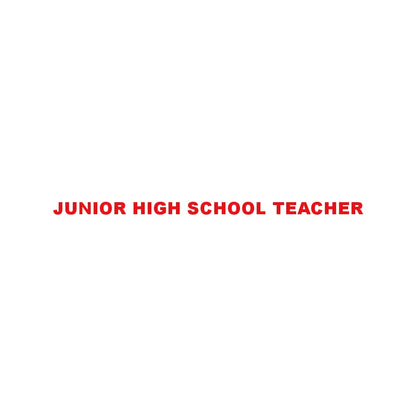 JUNIOR HIGH SCHOOL TEACHER 8