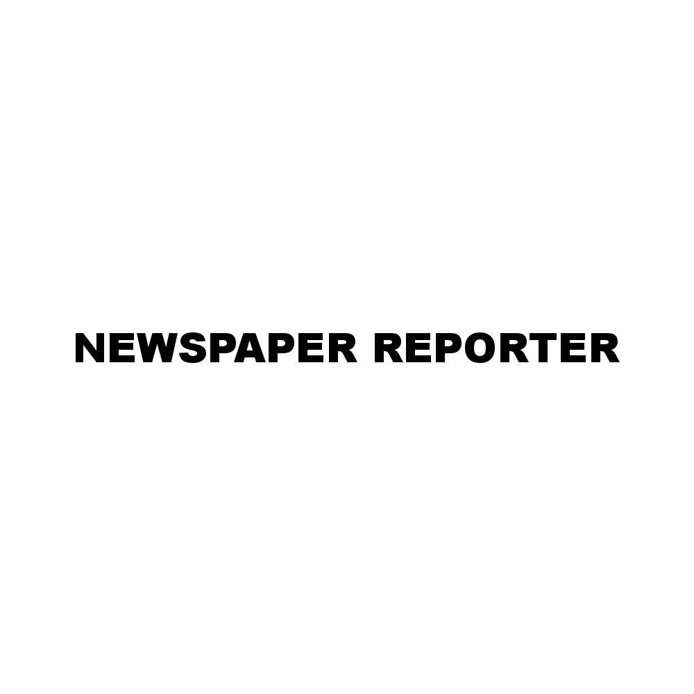 NEWSPAPER REPORTER