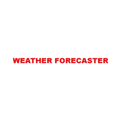 WEATHER FORECASTER 8