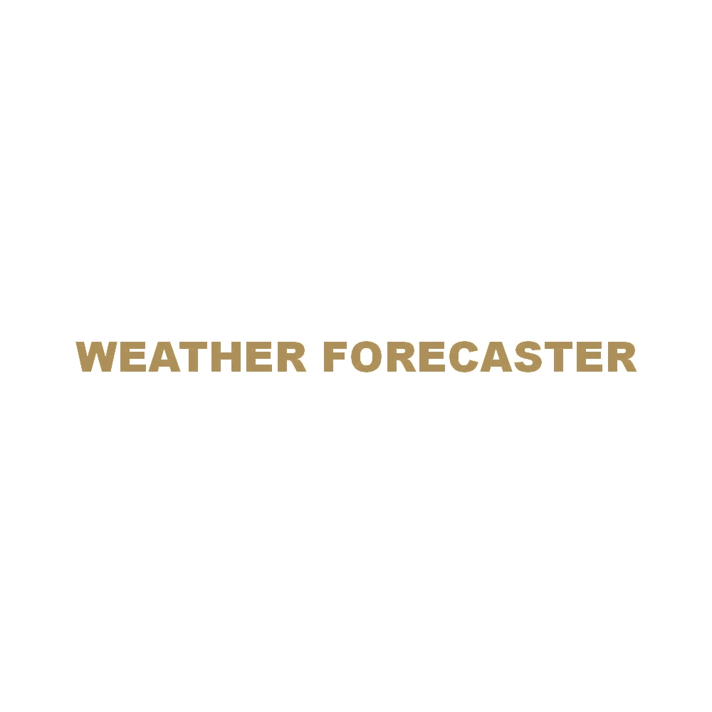 WEATHER FORECASTER 9
