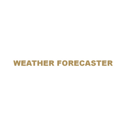WEATHER FORECASTER 9