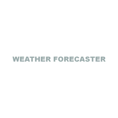 WEATHER FORECASTER 10