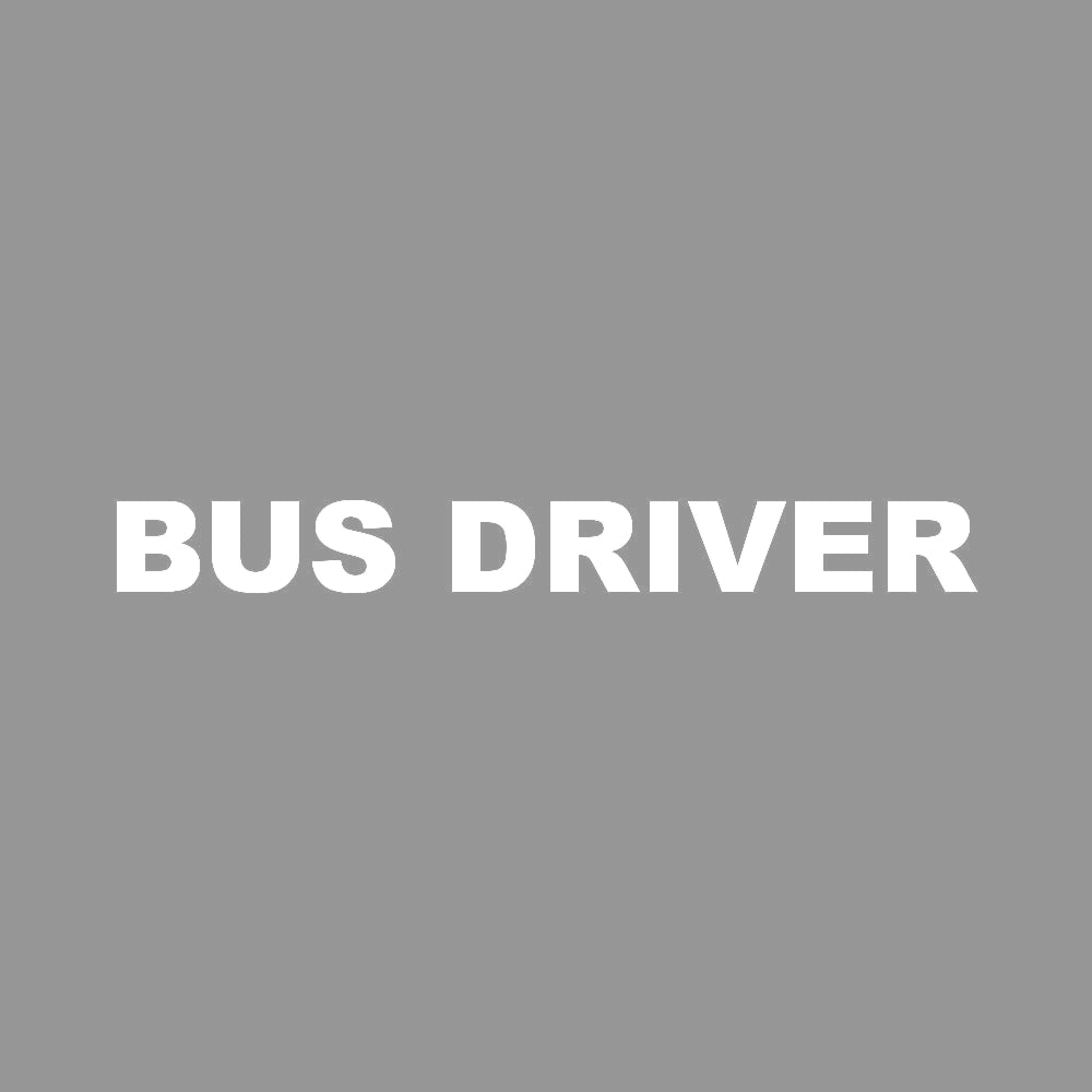 BUS DRIVER 7