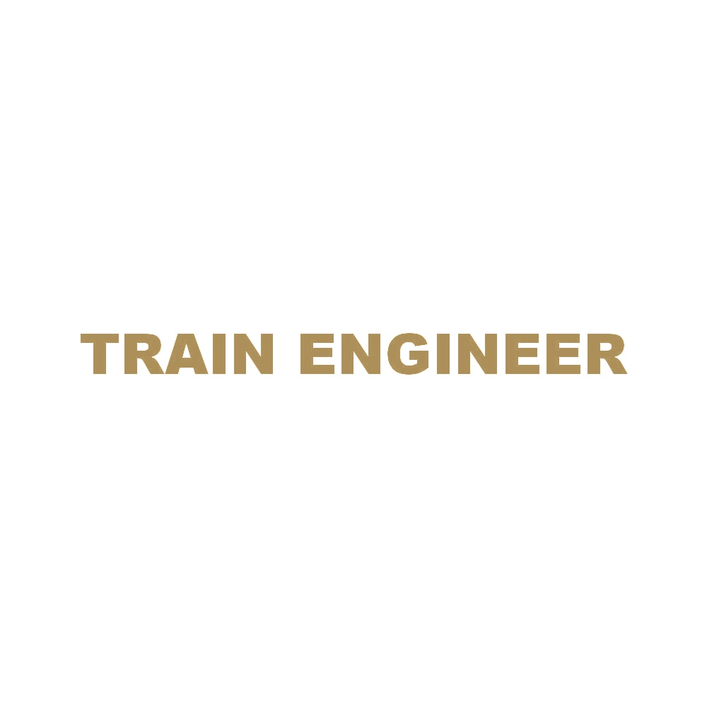 TRAIN ENGINEER 9