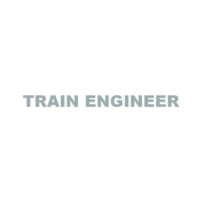 TRAIN ENGINEER 10