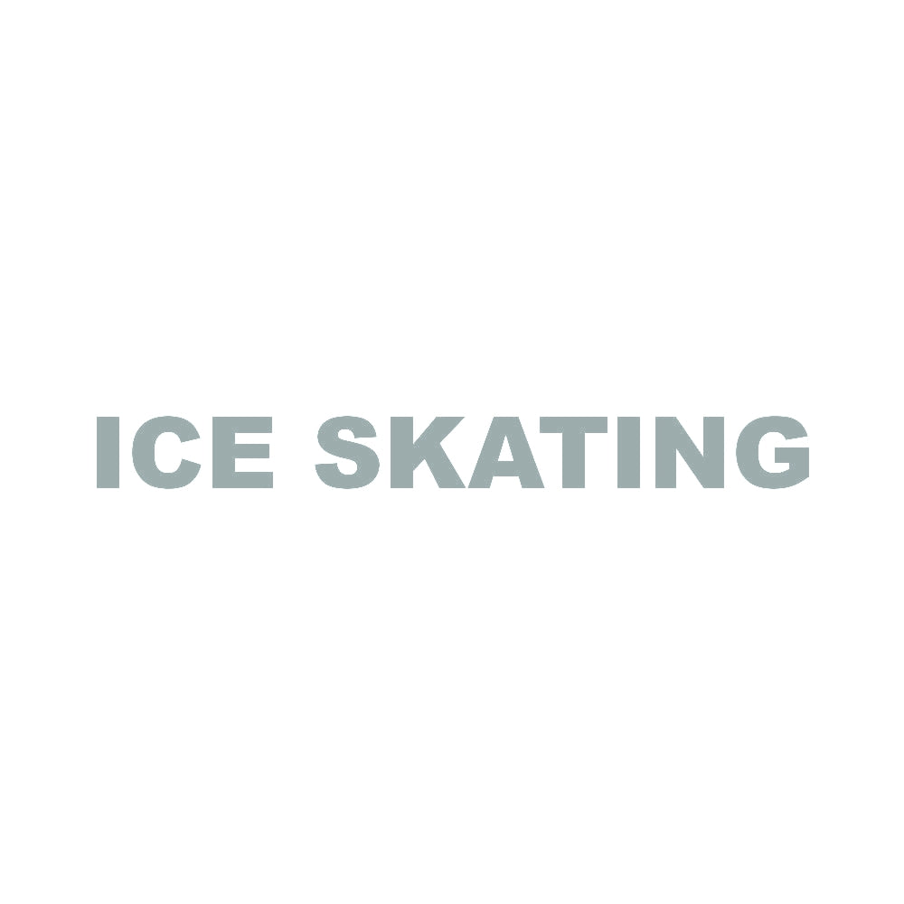 ICE SKATING 10