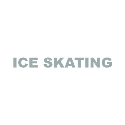 ICE SKATING 10