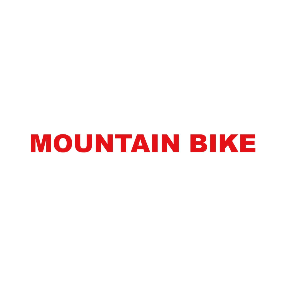 MOUNTAIN BIKE 8