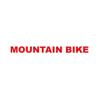 MOUNTAIN BIKE 8