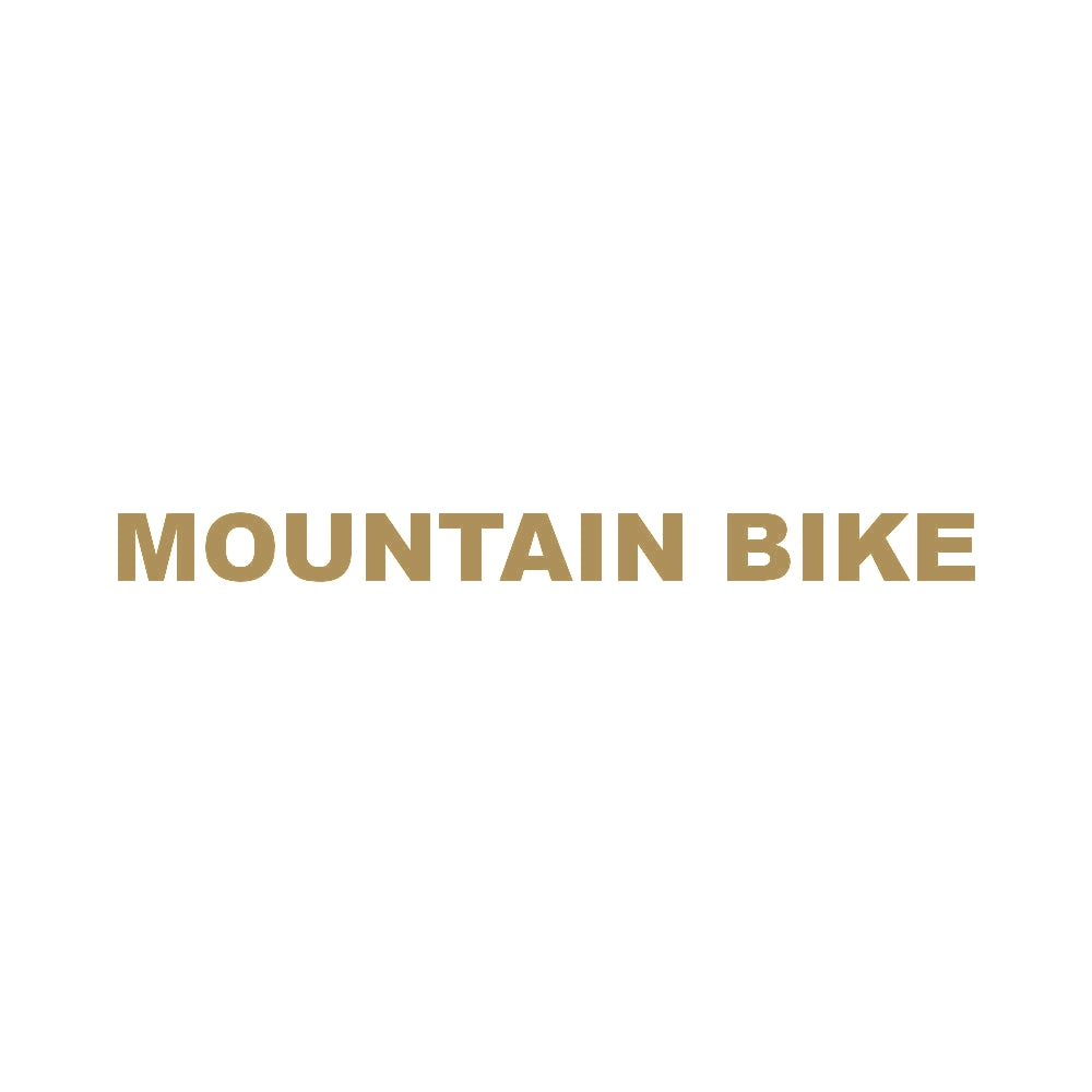 MOUNTAIN BIKE 9