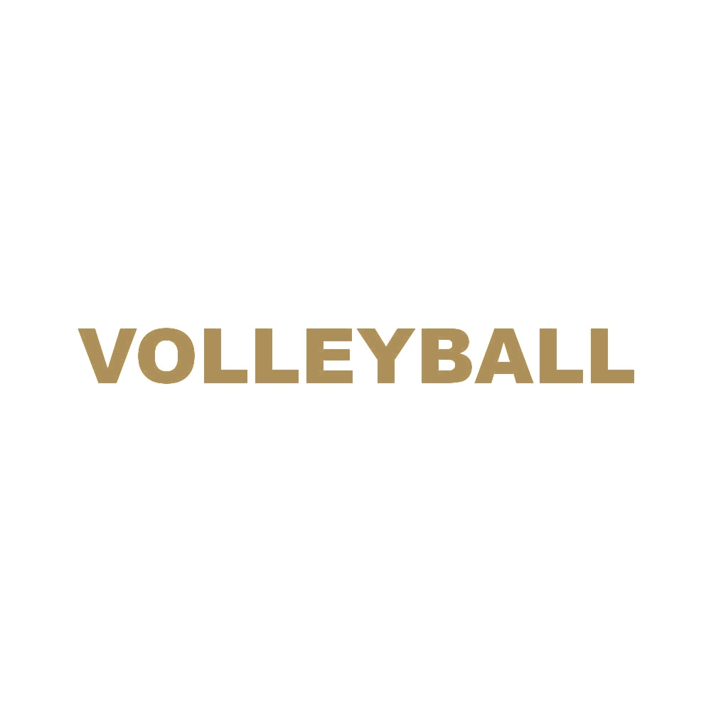 VOLLEYBALL 9