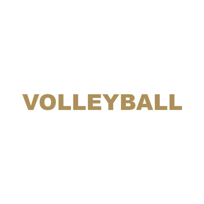 VOLLEYBALL 9