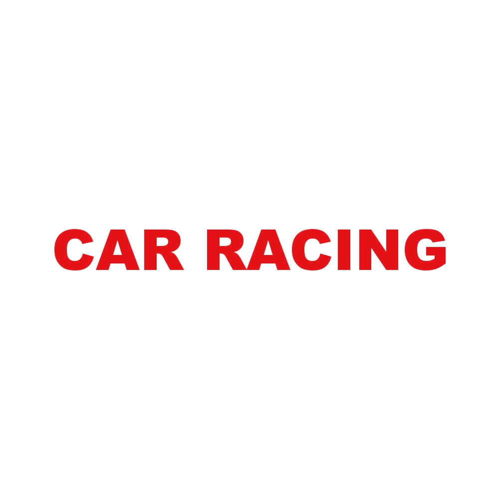 CAR RACING 8