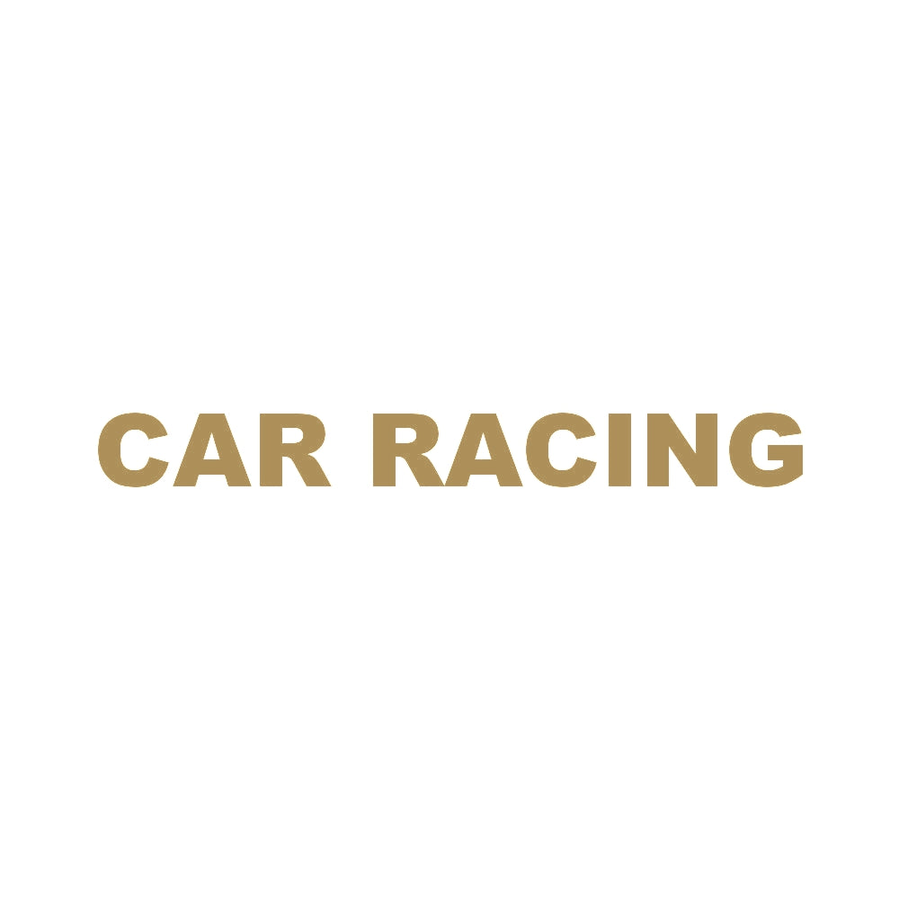 CAR RACING 9